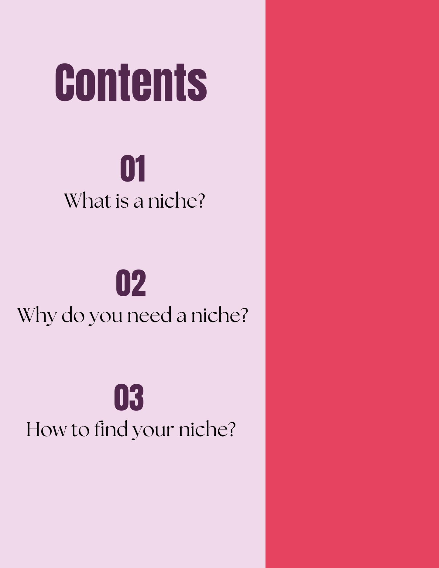 Finding Your Niche