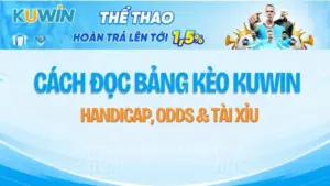Cách Đọc Bảng Kèo KUWIN – Handicap, Odds & Tài Xỉu