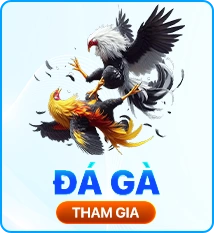 Đá Gà KUWIN